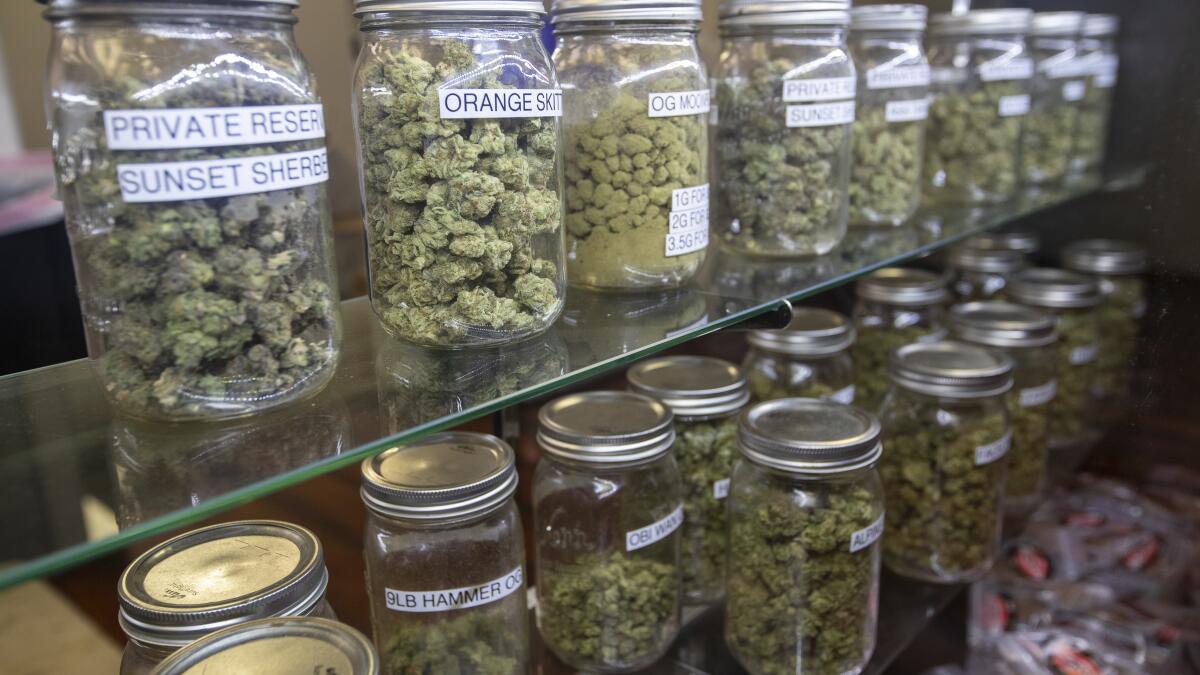 How Technology is Shaping the Modern Cannabis Experience