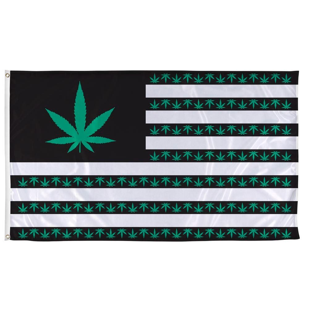 Current Cannabis Legalization by State and What to Expect in 2026 - Invincibowl